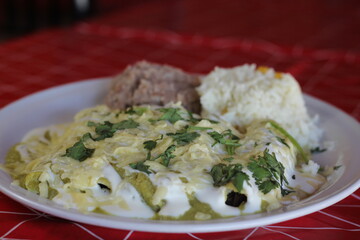 A plate of traditional enchiladas topped with creamy sauce, served with rice and beans, offering a comforting yet hearty meal that highlights Mexican culinary traditions.