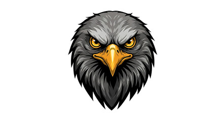 Fototapeta premium eagle head isolated on white