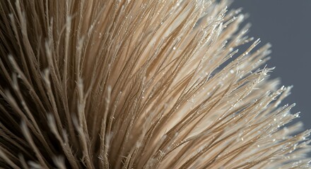 Macro Photography of Beige Brush Bristles