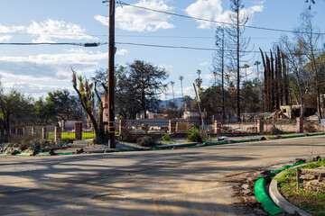 Obraz premium Homes destroyed in the Altadena wildfires in Altadena California USA