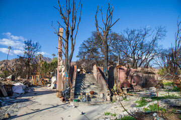 Homes destroyed in the Altadena wildfires in Altadena California USA