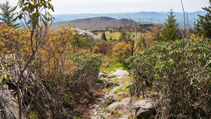 Grayson Highland State Park, NC mountain landscape in the morning

