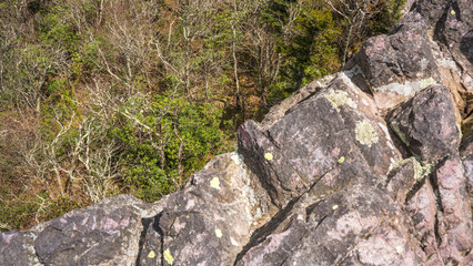 Grayson Highland State Park, NC mountain landscape in the morning
