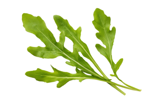 Arugula wave pattern sweeping diagonally overhead, isolated transparent background