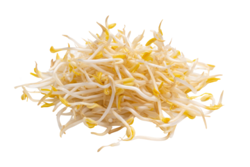 Bean sprouts spiral ring overhead flat-lay, isolated on transparent background