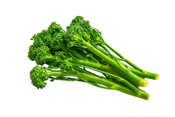 Broccolini cluster central overhead flat-lay isolated on transparent background