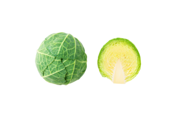Cabbage wedges neatly arranged along lower border of overhead flatlay scene, leaving ample copy space above, crisp moisture beading on leaf surface, isolated on transparent background