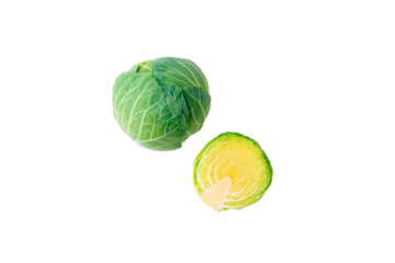 Cabbage broad leaves fanned radially like petals across overhead flatlay, delicate veins and subtle gradients emphasized by soft light, isolated on transparent background