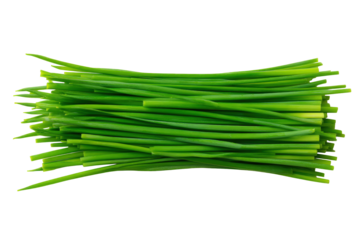 Chives finely chopped rings sprinkled like confetti over bright studio flatlay, vivid green circles and moist sheen visible, isolated on transparent background