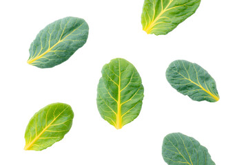 Fresh collard greens bunch isolated on transparent background flat-lay southern cuisine veggie
