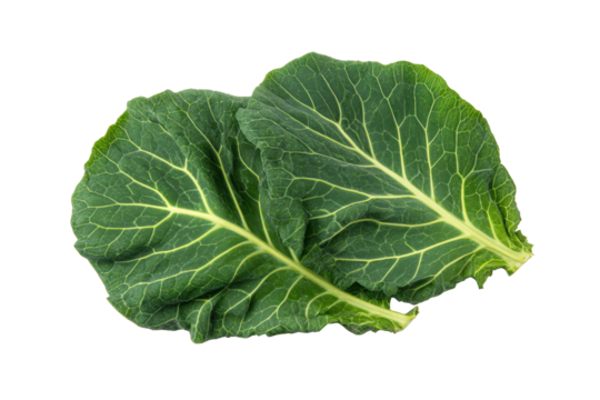 Collard Greens diced fragments scattered evenly like confetti across clean studio flatlay photographed directly overhead, jagged shapes and moist sheen visible, isolated on transparent background