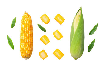Corn spears with husk partially peeled back revealing glossy kernels, arranged fan-like across overhead flatlay, silk threads adding fine detail, isolated on transparent background