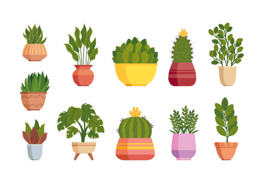 Green Leafy Botanical Home Garden Plants Illustration Set