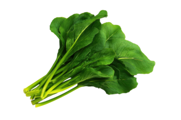 Gai lan stems aligned diagonally across minimal flatlay isolated on transparent background