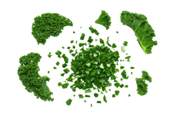 Kale bunch long stems and leaves centred flatlay isolated on transparent background