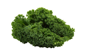 Obraz premium Kale individual leaves fanned diagonally across white flatlay isolated on transparent background