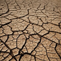 Cracked Dry Earth Texture