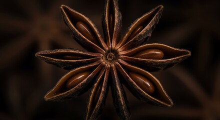 Macro Photography of Star Anise: A Detailed Close-up Revealing the Intricate Structure and Rich Brown Hues of This Aromatic Spice