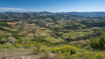 Naklejka premium Serene Panoramic View of Rolling Hills and Lush Green Fields Under Clear Blue Sky in Scenic Landscape