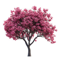 Obraz premium Isolated tree with pink blossoms against black background on png transparent background