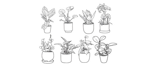 beautiful plant line art set in pots-houseplant icon set, garden plant illustrations.
