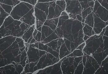 Obraz premium Dark Gray Marble Texture with Sharp White Veins