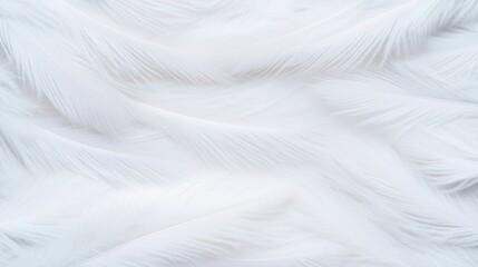Fototapeta premium Soft white feathers layered closely together, creating a gentle, airy texture and a sense of lightness.