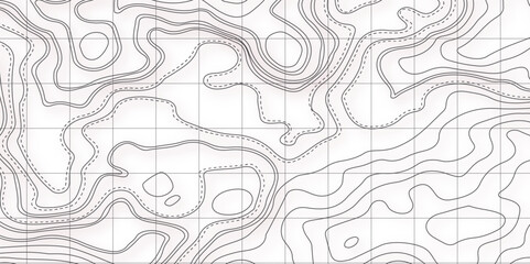 Background of the topographic map. Topographic map lines, contour background. Geographic grid, vector abstract.