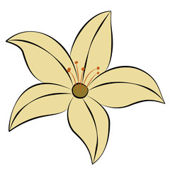 Lily flowers. Colorful exotic tropical flowers. Flat vector illustration isolated on white background.