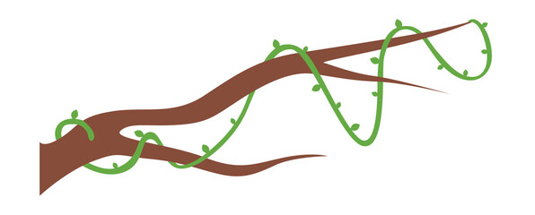 branches and vines transparent background element