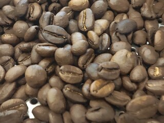 Roasted coffee beans 