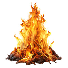 Bonfire Flames Fire Burning Campfire Wood Blaze Image