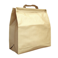 Plain brown paper bag