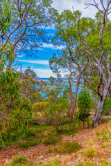 Scenic views from Black Mountain over Canberra