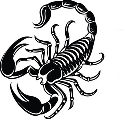 Scorpio Zodiac Sign Illustration