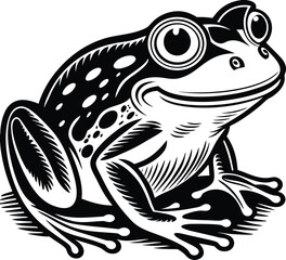 Cartoon Frog Illustration