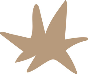 Star boho decoration