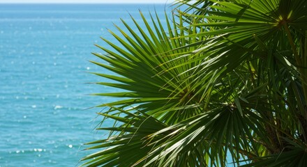 Fototapeta premium Tropical beach scene with palm leaves and shimmering ocean water