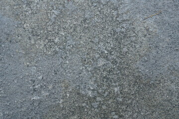 Gray Concrete Texture