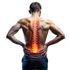 Lower Back Pain: Spinal Anatomy and Treatment