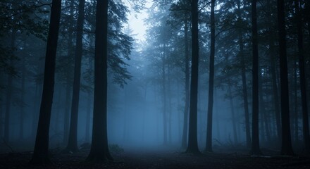 Fototapeta premium Mysterious foggy forest at dusk with tall trees and misty atmosphere