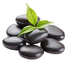 Fototapeta premium Smooth Black Stones and Green Leaves: Perfect Zen Garden Image