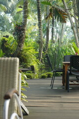 Outdoor Seating Area with Lush Tropical Plants
