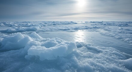 Arctic Ocean Ice Floes A Stunning Winter Landscape Photograph