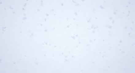 Falling Snowflakes A Winter Wonderland Scene