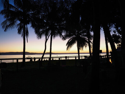 Sunset with palm trees