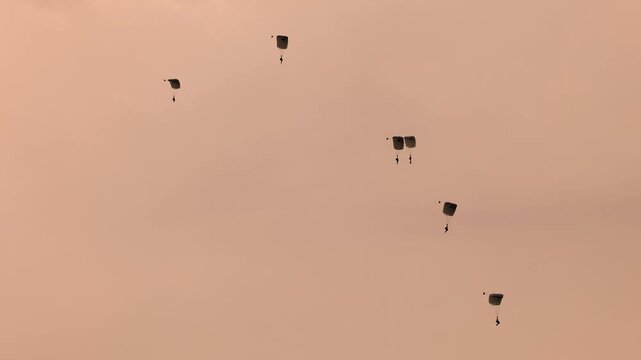 Paratroopers Descend at Sunset in Geelong Skies
