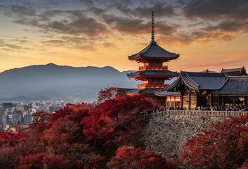Kiyomizu Dera Pagoda Temple with red maple leaves or fall foliage in autumn season. Colorful trees, Kyoto, Japan	