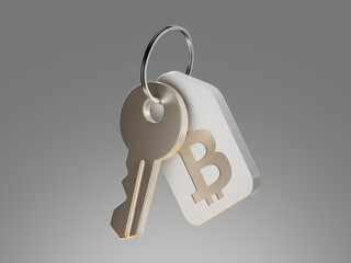 3D render icon of a key with a bitcoin symbol tag. Represents cryptocurrency security, private keys, digital wallets, blockchain access and crypto asset protection.