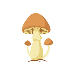 Simple Group of Brown and Beige Mushrooms Vector Illustration